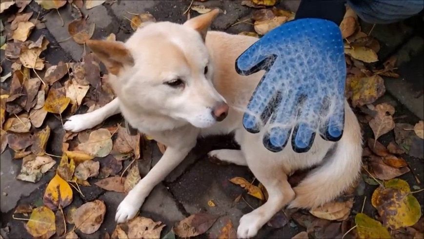 Рукавичка для вичісування шерсті True Touch, Тру Тач, Pet Glove 3811157 фото